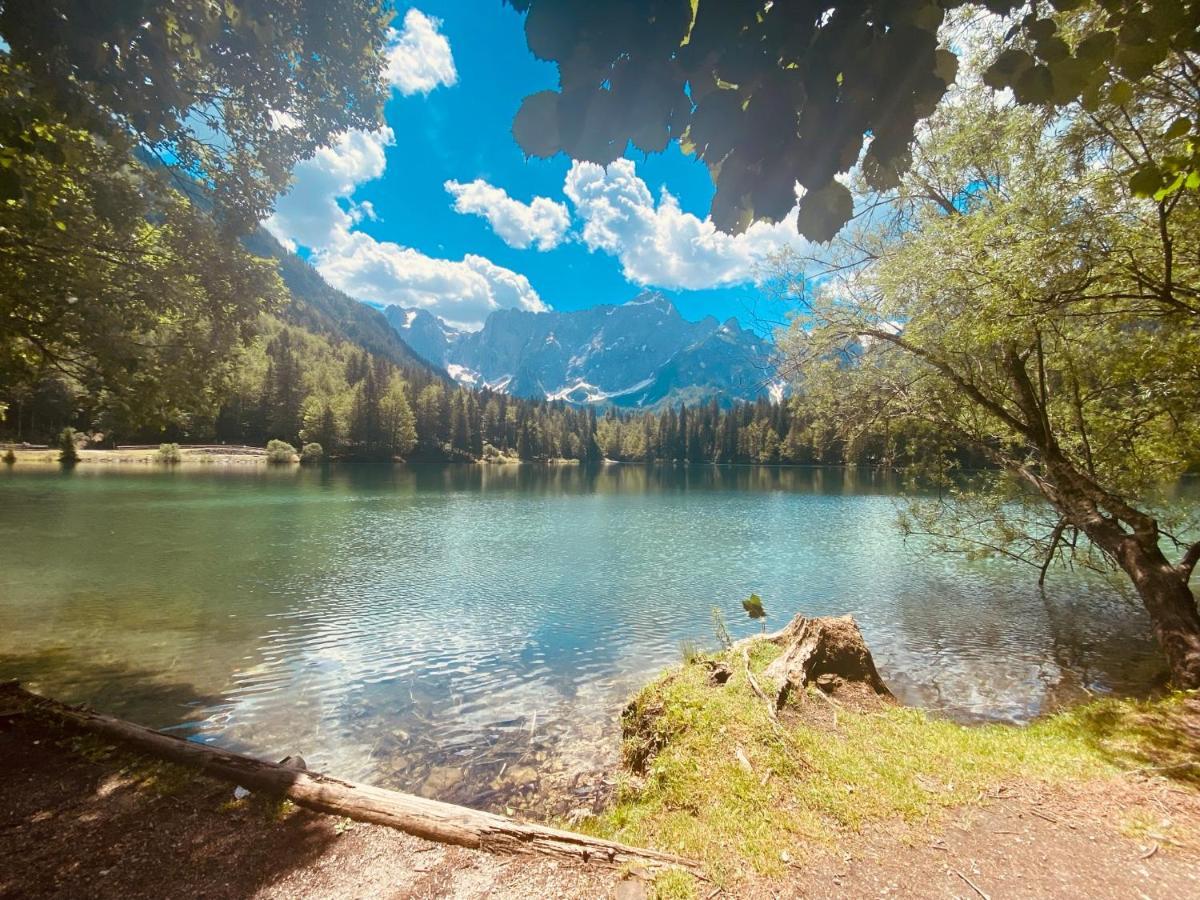 Guest House Vila Moj Mir Rateče Dış mekan fotoğraf